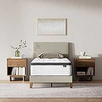 Vista 20 de Signature Design by Ashley Chime Colchón híbrido de 10 pulgadas, espuma certificada por CertiPUR-EE.UU., tamaño individual, blanco