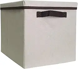 Caixa Organizadora com Tampa para Closet e Armário Grande Bege Alça Resistente quadrada