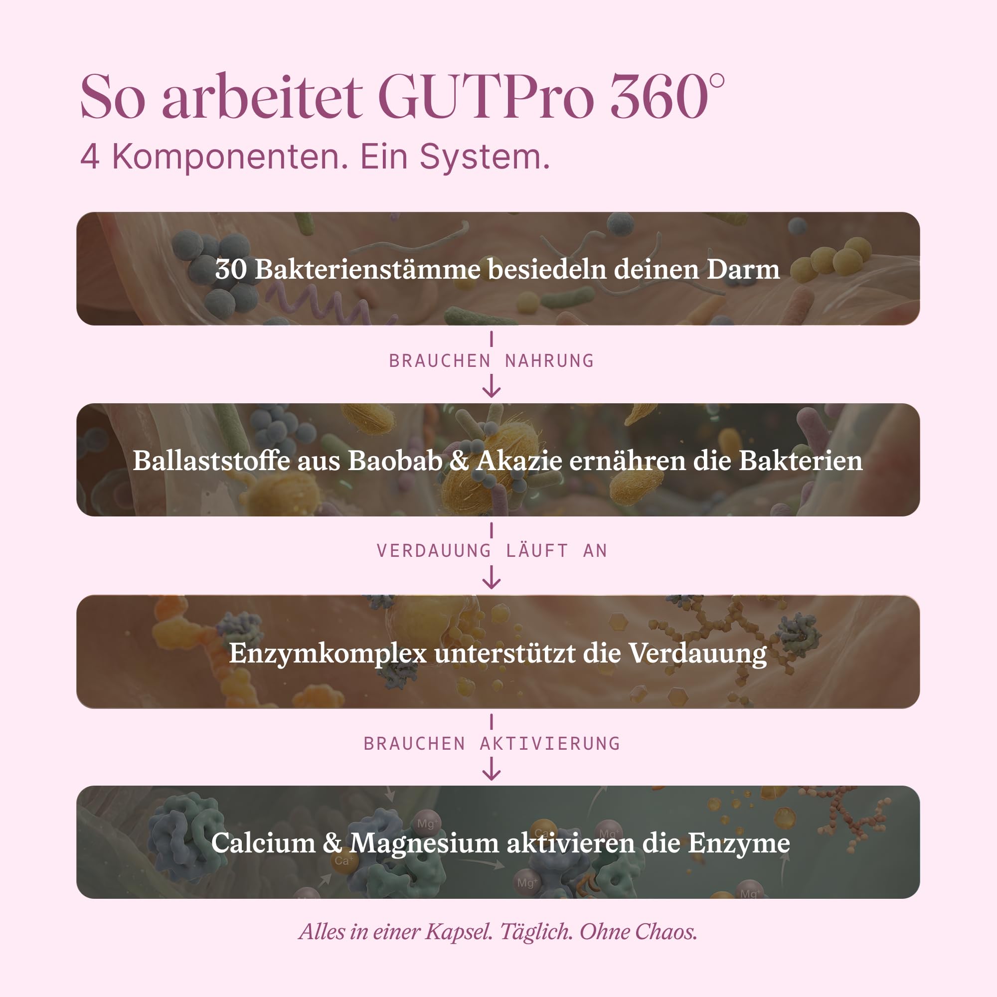 VETAIN GutPro 360° Darmbakterien Komplex – 30 Bakterienstämme + 30 Mrd. KBE