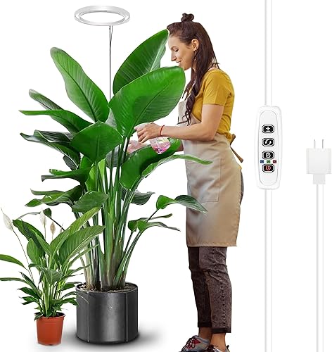 Paquete de 2 luces LED de cultivo de anillo de 10 pulgadas para plantas de interior, 160 LEDs 6000 K de espectro completo grande para plantas de