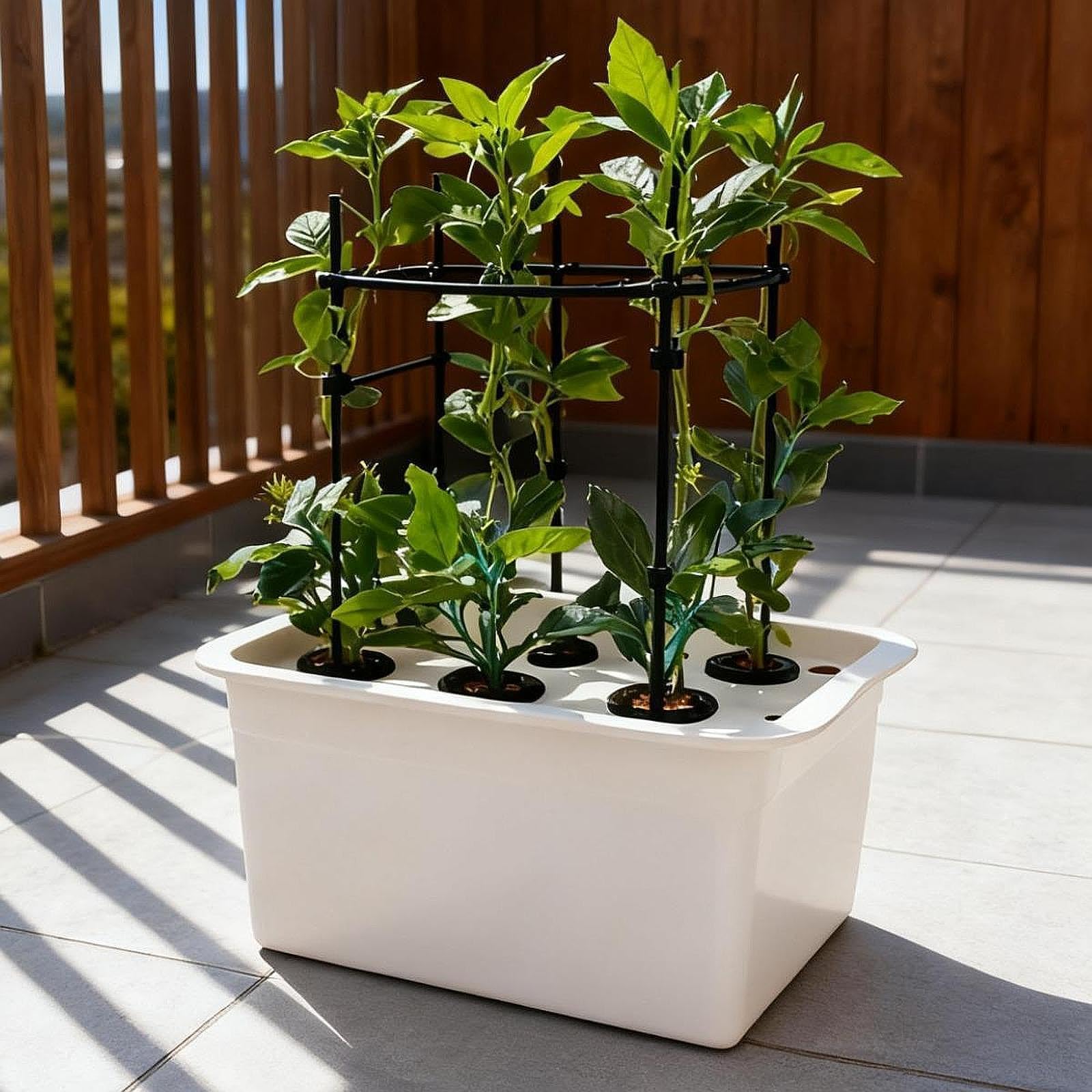 Générique Boîte Hydroponique Système d'Irrigation Automatique Kit de Culture Bac de Plantation Compact et Solide Adaptée à la Production de Légumes