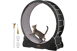 Cat Wheel Miwooyy: Indoor Exercise Revolution for Feline Friends