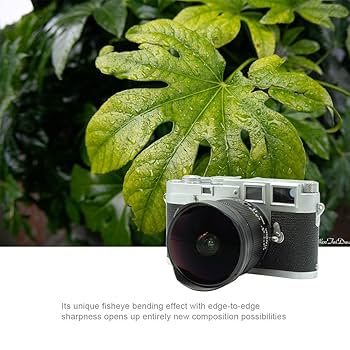 TTArtisan 11mm f2.8 Fisheye Lマウント Amazon.com : TTArtisan 11mm f2.8 Manual Focus Fisheye Lens