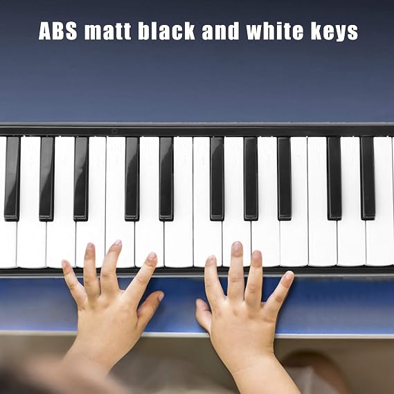 32 Key Melodica, Beginner Musical Instrument with Bag, 32 Key Wind Musical Instrument, for Students, Beginners, and Professionals (Black)