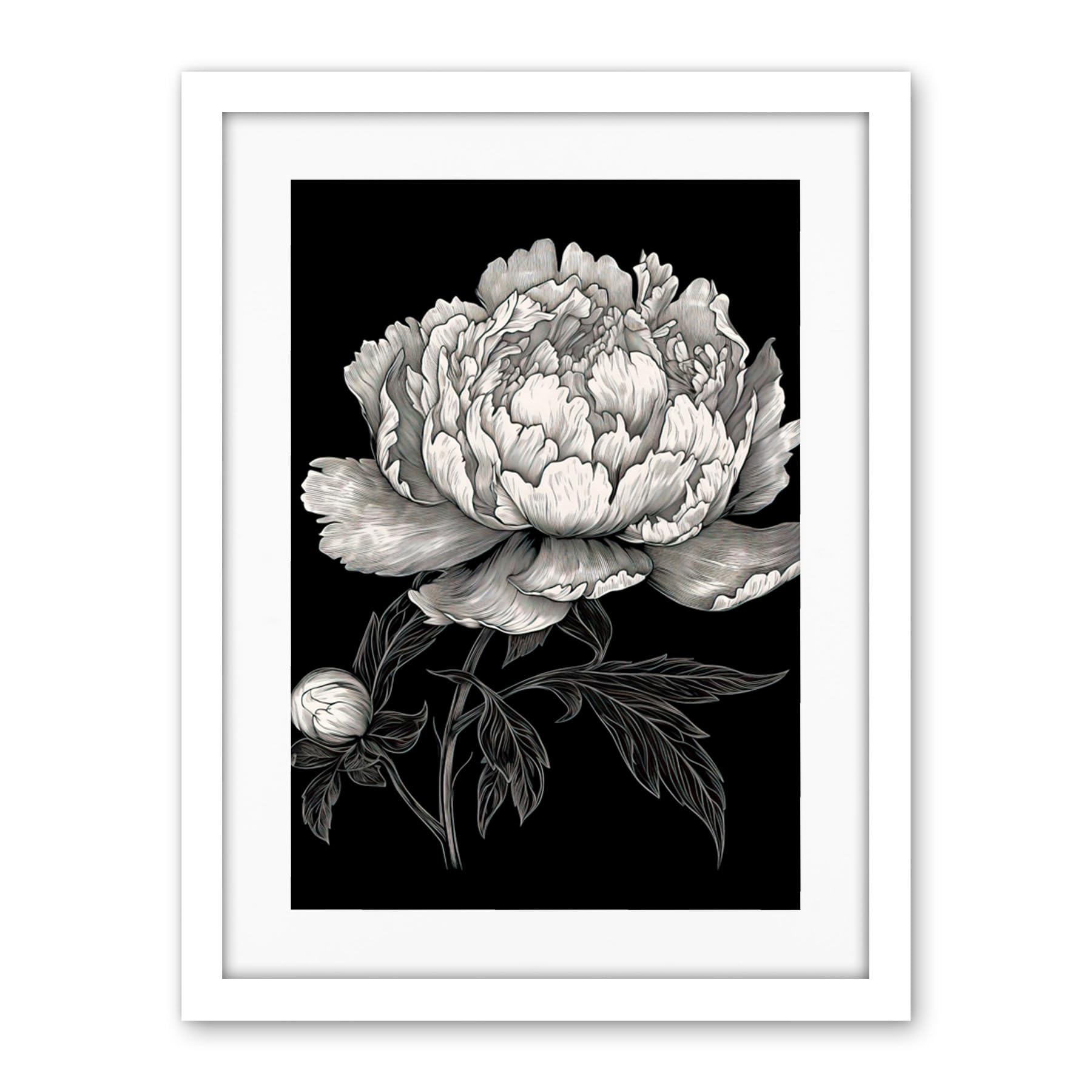 Artery8 A Peony Flower Bloom Black and White Blind Contour Artwork Framed Wall Art Print 18X24 Inch
