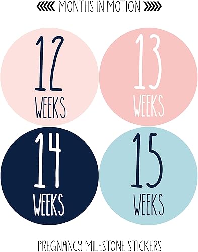Miniatura 2 de Calcomanías semanales de crecimiento del embarazo, de semana a semana, embarazada esperando fotos, recuerdo de maternidad, panza de bebé,
