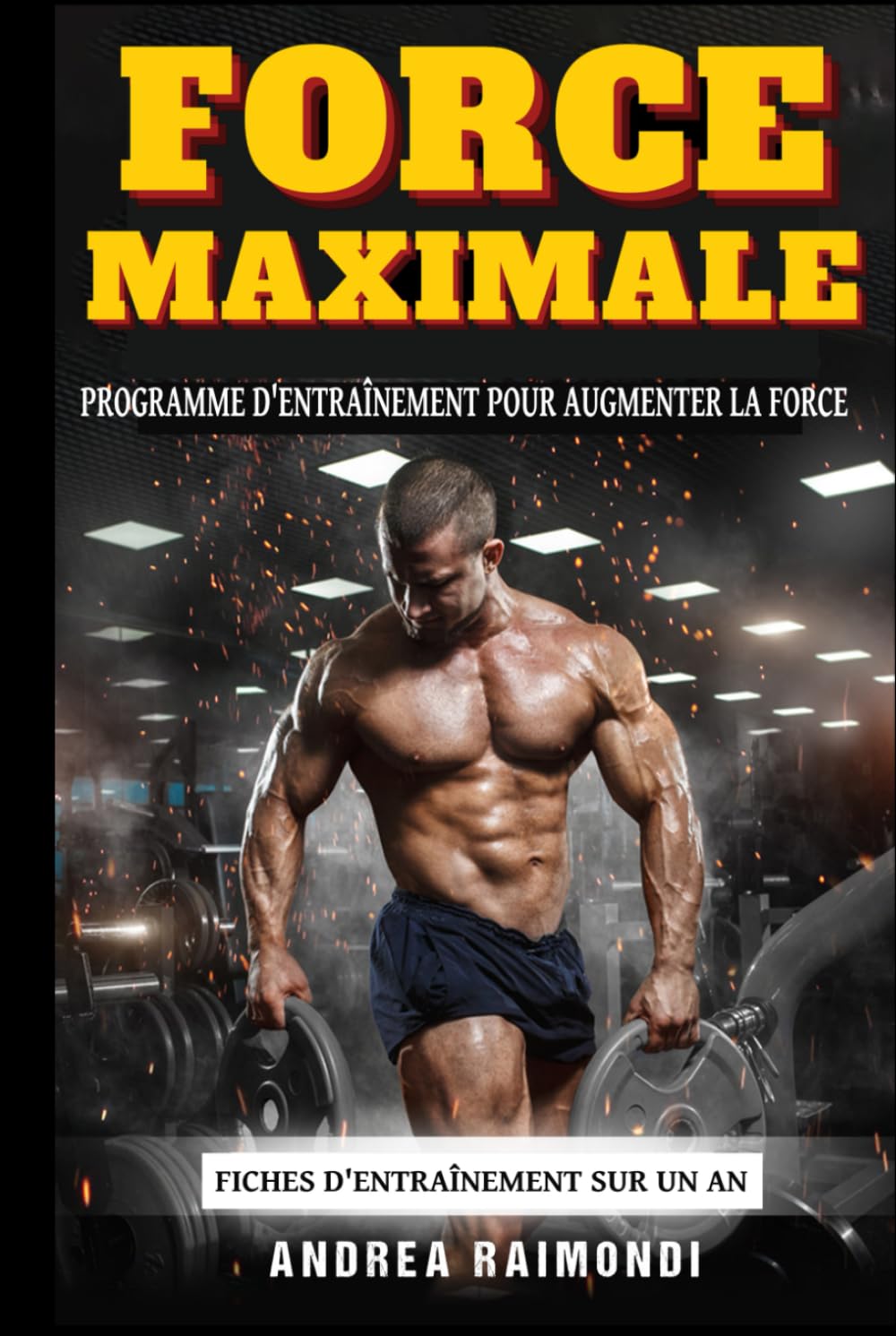 Force Maximale: Un programme d'entraînement complet pour augmenter la force. Fiches d'entraînement sur un an