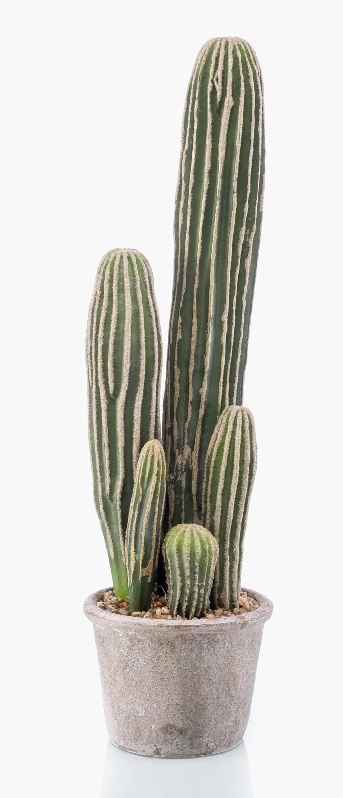 artplants.de Knstlicher Kaktus San Pedro DACON im Dekotopf, grn, 55cm - Plastik  Kaktus/Dekokaktus : Amazon.de: Kche, Haushalt & Wohnen
