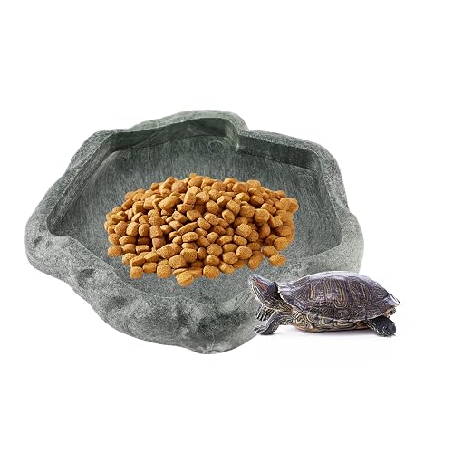 Dispensador de Agua para Reptil, comedero de Tortuga terrestre, Bebedero para Reptiles