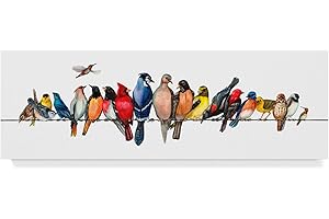 Trademark Fine Art Large Bird Menagerie II Canvas Wall Art