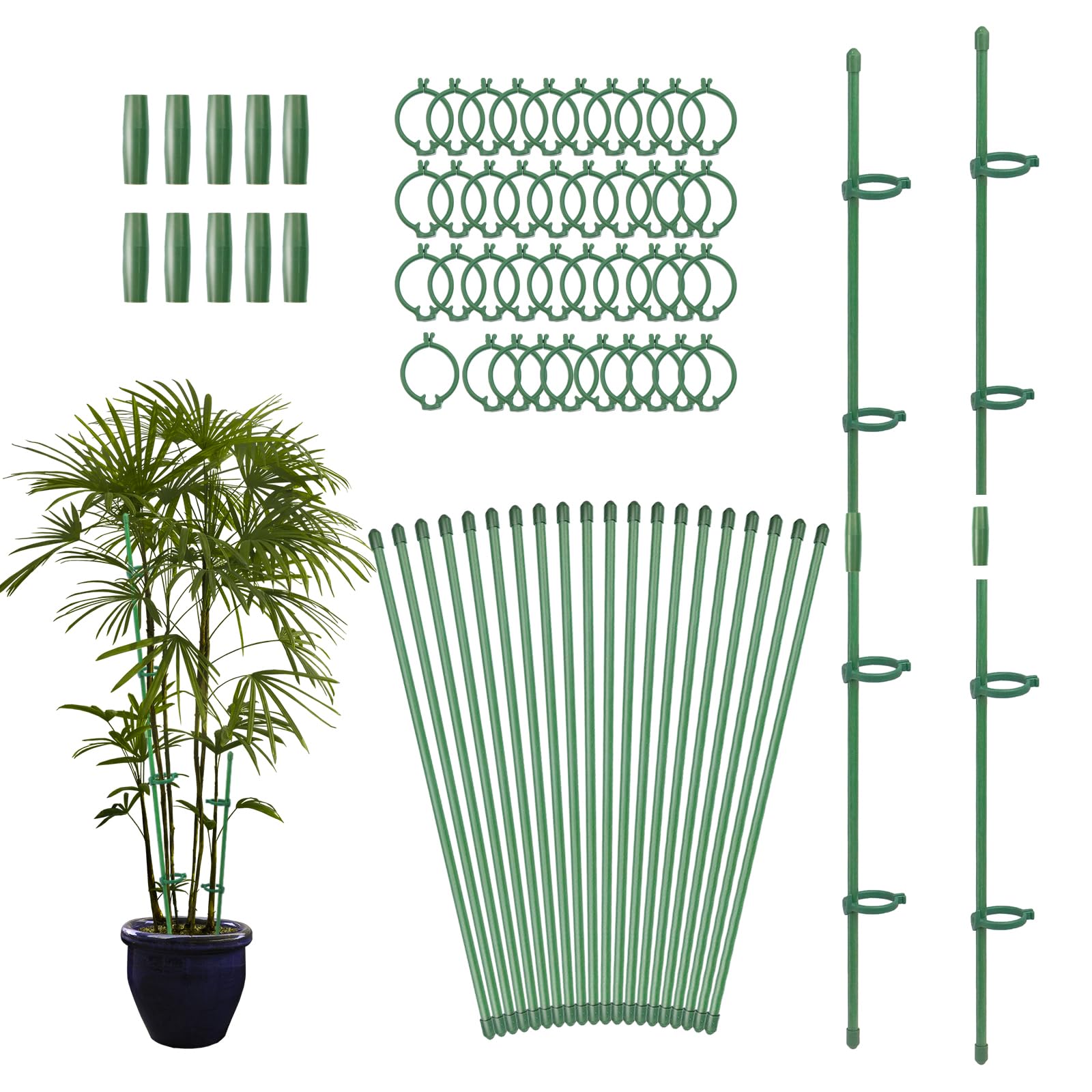 Ruksifg 20 Pcs Plant Support Stakes Height Adjustable Garden Single Stem Plant Stake with 40 Pcs Plant Clips and 10 Pcs Connect Pipe for Orchid Rose Peony Peppers Amaryllis Tomato(12 Inch)