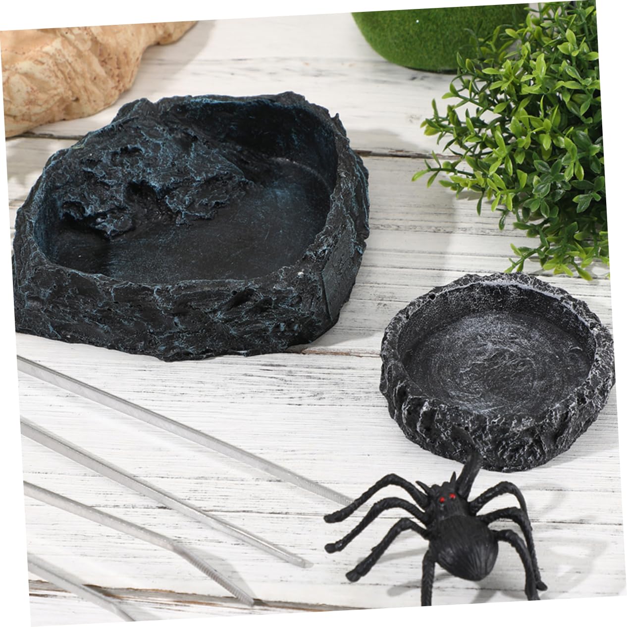 1set Ciotole per Reptili Ciotola per Tartarughe Ciotola per Cibo Rettili con Pinzette Accessori per Terrario e Alimentazione di Lucertole e