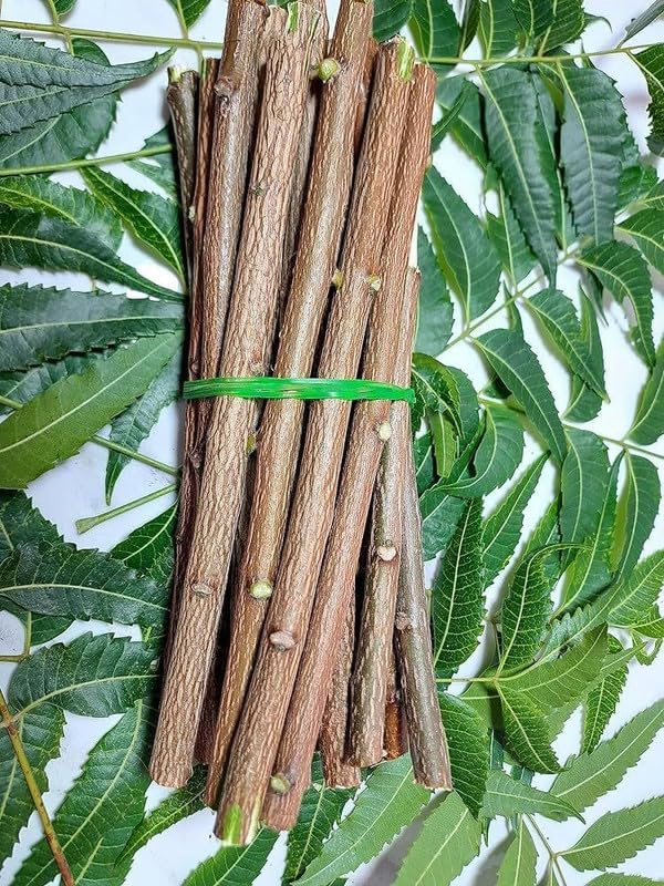 Neem Healthy Stick Natural Neem Dental Care Sticks for Oral Hygiene and Gum Protection, Size 6–7 Inch Traditional Use (20 Healthy Stick)-image-31