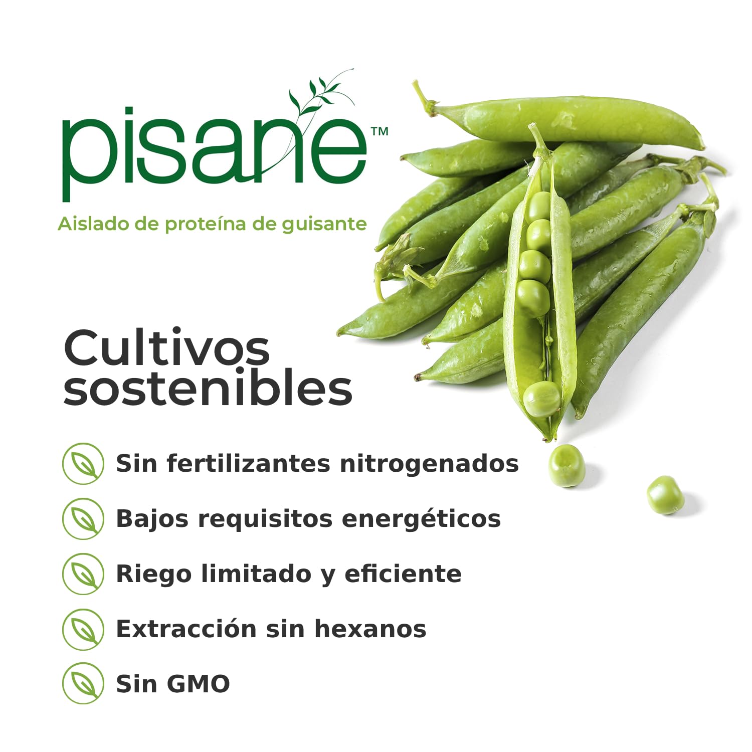 Weider Vegan Protein (750g) Sabor Vainilla. Proteína Vegana 23g/dosis Aislada Guisante (Pisane) y Arroz. Con Vitamina B12 y Stevia. Sin Gluten, Sin Azúcar. Bote 50% Reciclado, 100% Reciclable