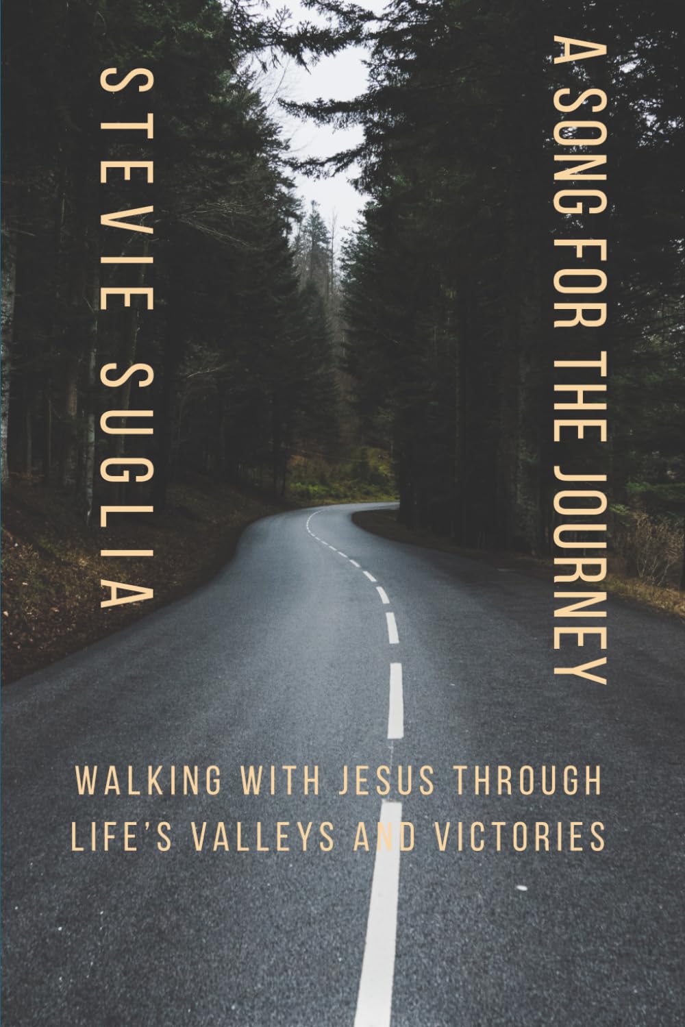 A Song For The Journey: Walking with Jesus Through Life's Valleys and Victories.