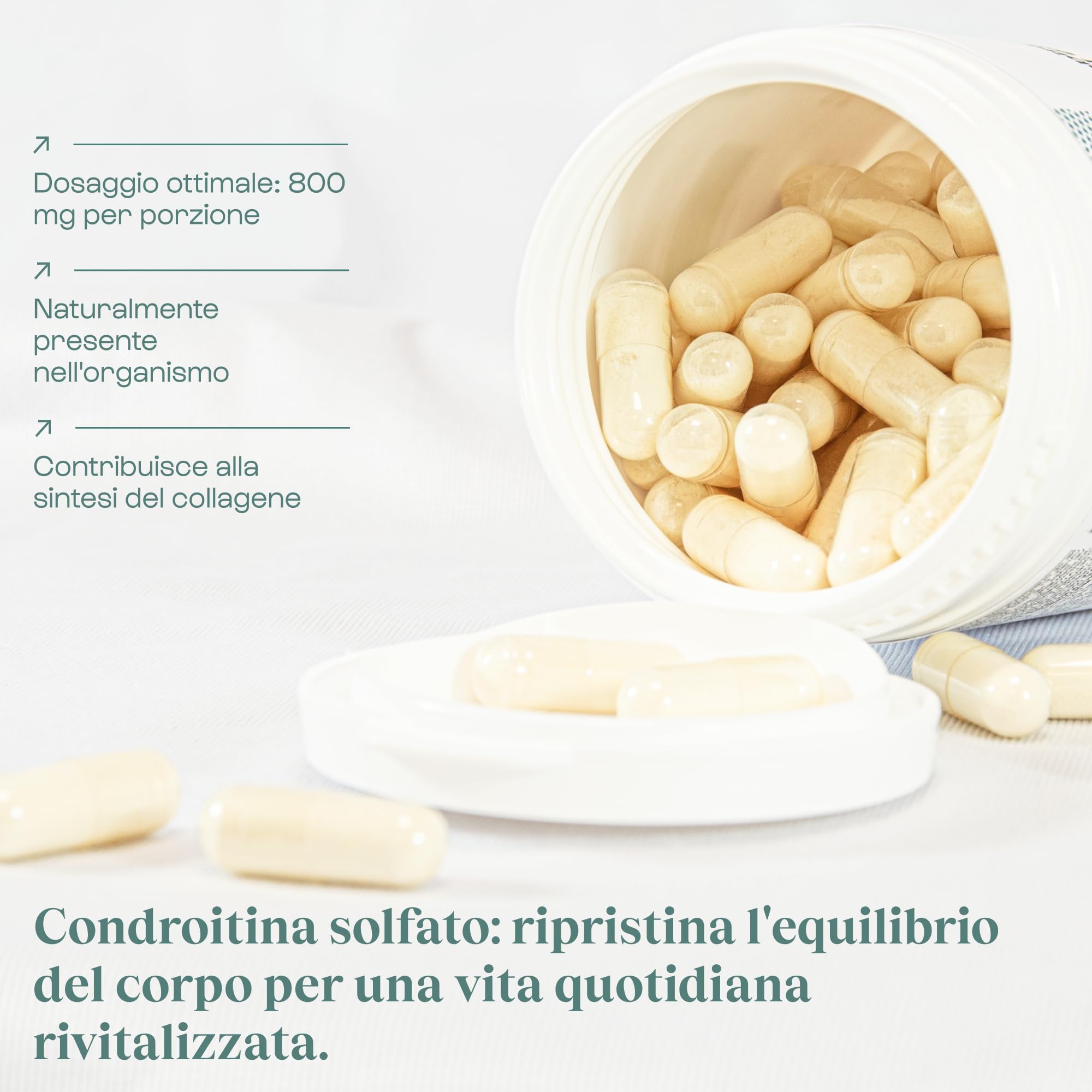 Condroitina solfato pura al 100% | Protezione articolare • Resistenza dei tendini • Rigenerazione dei tessuti • Sport e Salute | Nutrimuscle | 120 capsule