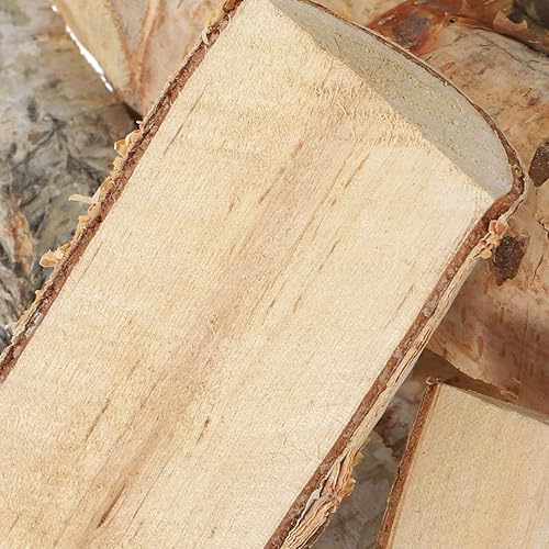 Miniatura 5 de 8 piezas de palitos de tronco, ramitas de madera de abedul, leña de abedul, rebanadas de troncos de abedul divididas, decoración para manualidades,