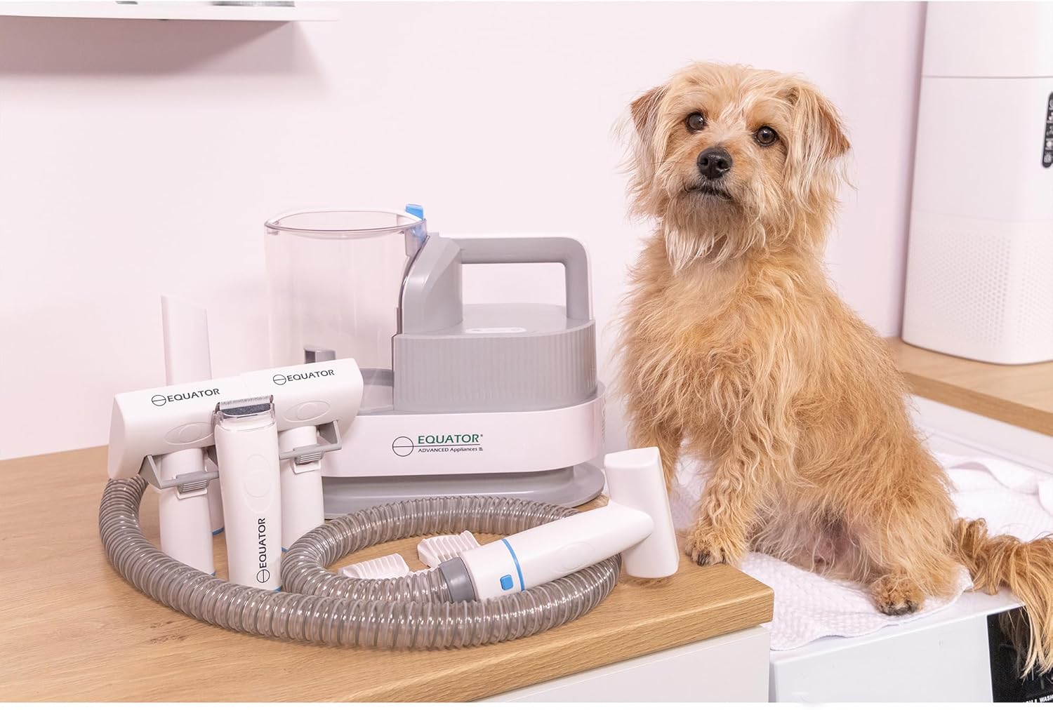 Equator EPG 2500 5-in-1 Pet Grooming Vacuum Kit, 10,000PA Suction | 2.5L Canister, Low-Noise 60dB, Trimmer, Brush & Shedding Tool for Dogs and Cats
