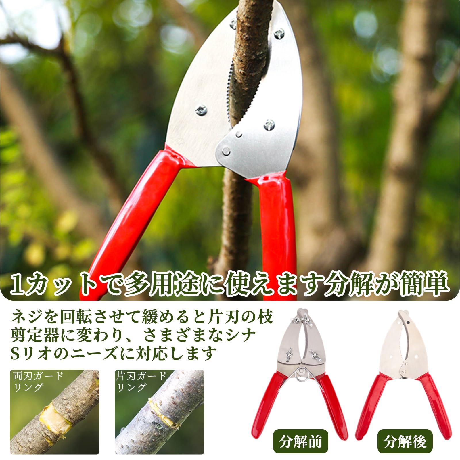 Amazon | 環状剥皮鋏 プライヤー式 果樹用リングカッター（ぶどう
