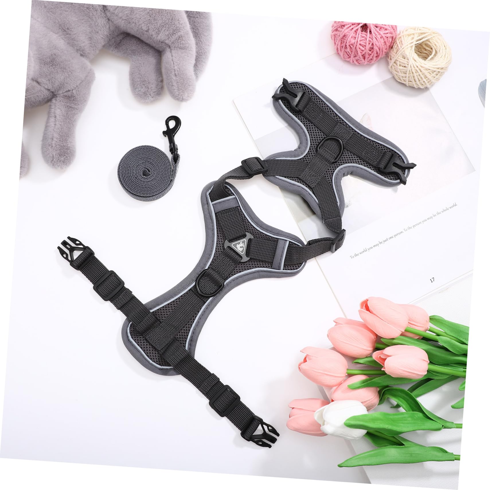 Toddmomy 5pièces pour Petit Chien Et Chat Gilet Réfléchissant Et Respirant Laisse De Sécurité pour Accessoire Pratique pour Animaux
