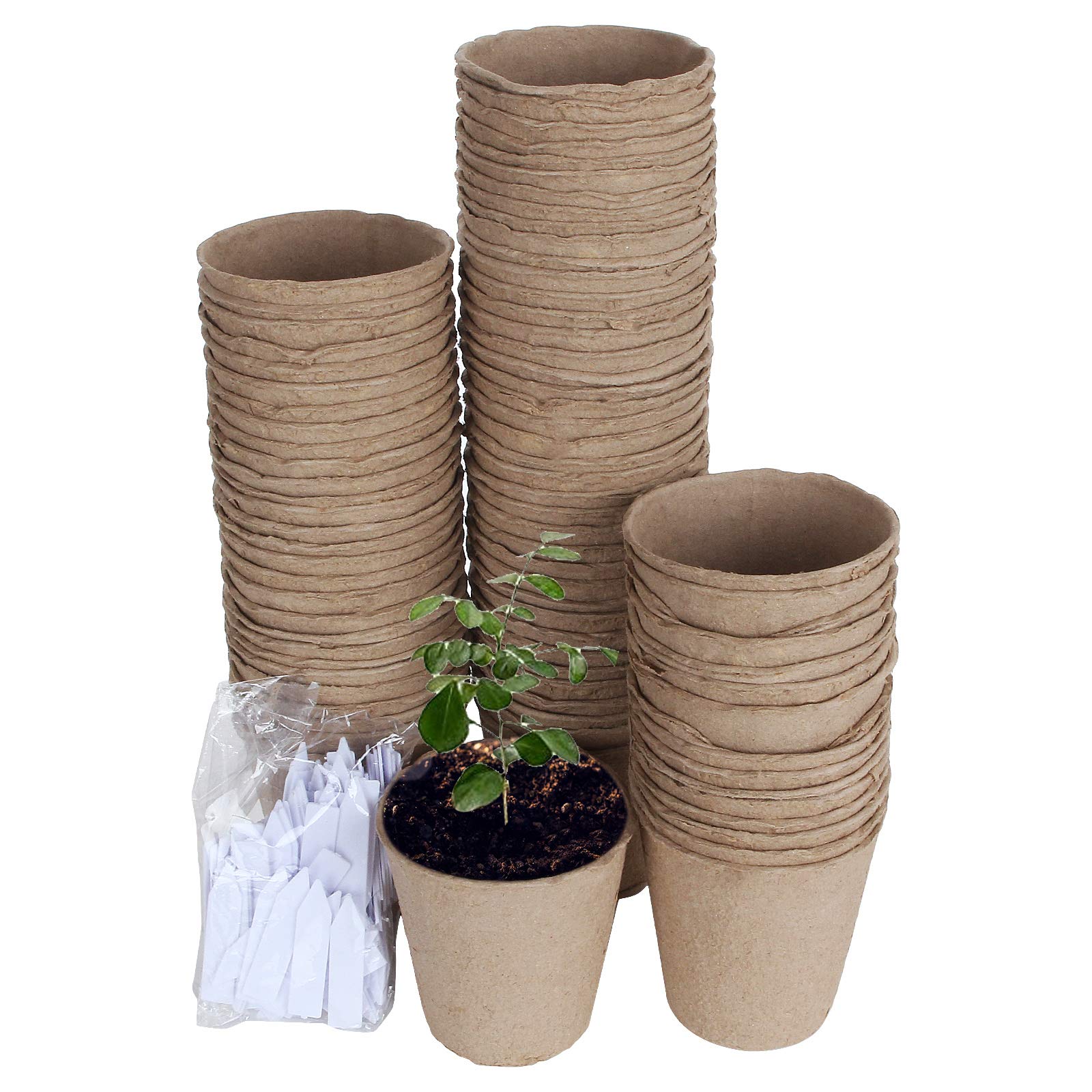 Buy LISHINE 150 Pack 3 Inch Peat Pots for Seedlings, Biodegradable Seed