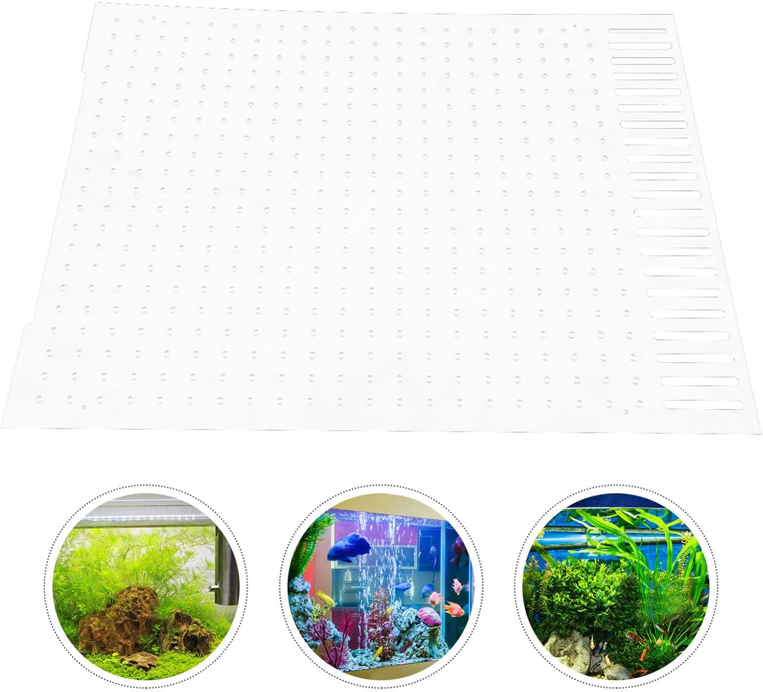 Acrylic Fish Tank Divider Isolation Board Cups Aquarium Separation Panel for Fish Safety and Survival Rate Improvement