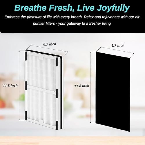 Miniatura 4 de Paquete de 2 filtros de repuesto - C - para purificadores de aire Idylis IAP-10-280, IAP-10-200, parte # IAF-H-100C