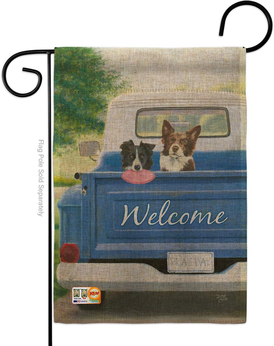 Play Day with Buddy Garden Flag Set Wall Hanger Animals Dog Puppy Spoiled Paw Canine Fur Pet Nature Farm Animal Creature Small Decorative Gift Yard House Banner Double-Sided Made In USA 13 X 18.5