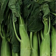 Kitazawa Seed Co Broccoli Seeds - Chinese Broccoli Big Stem 1 Oz 9000 Seeds