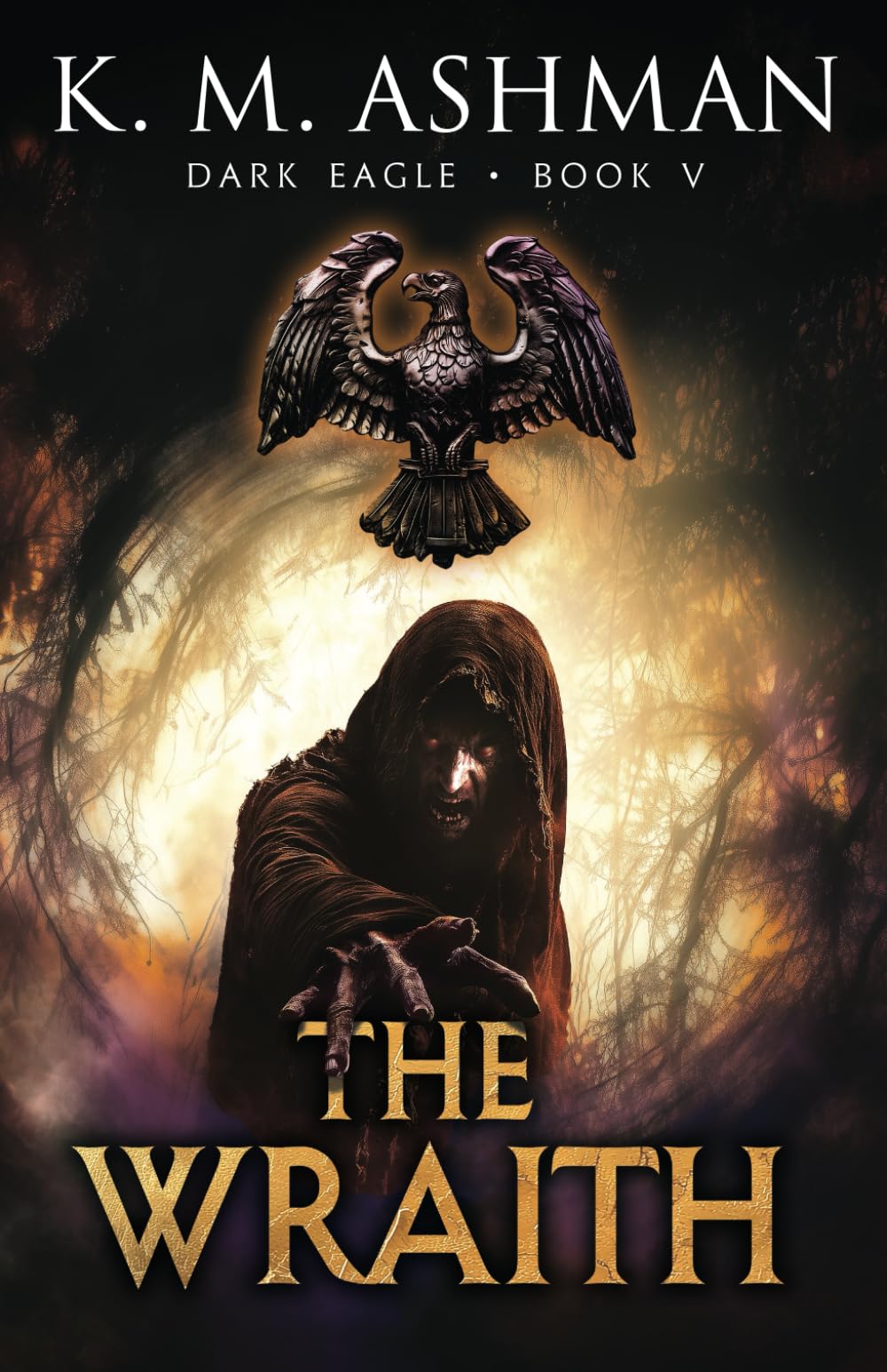 Dark Eagle V: The Wraith