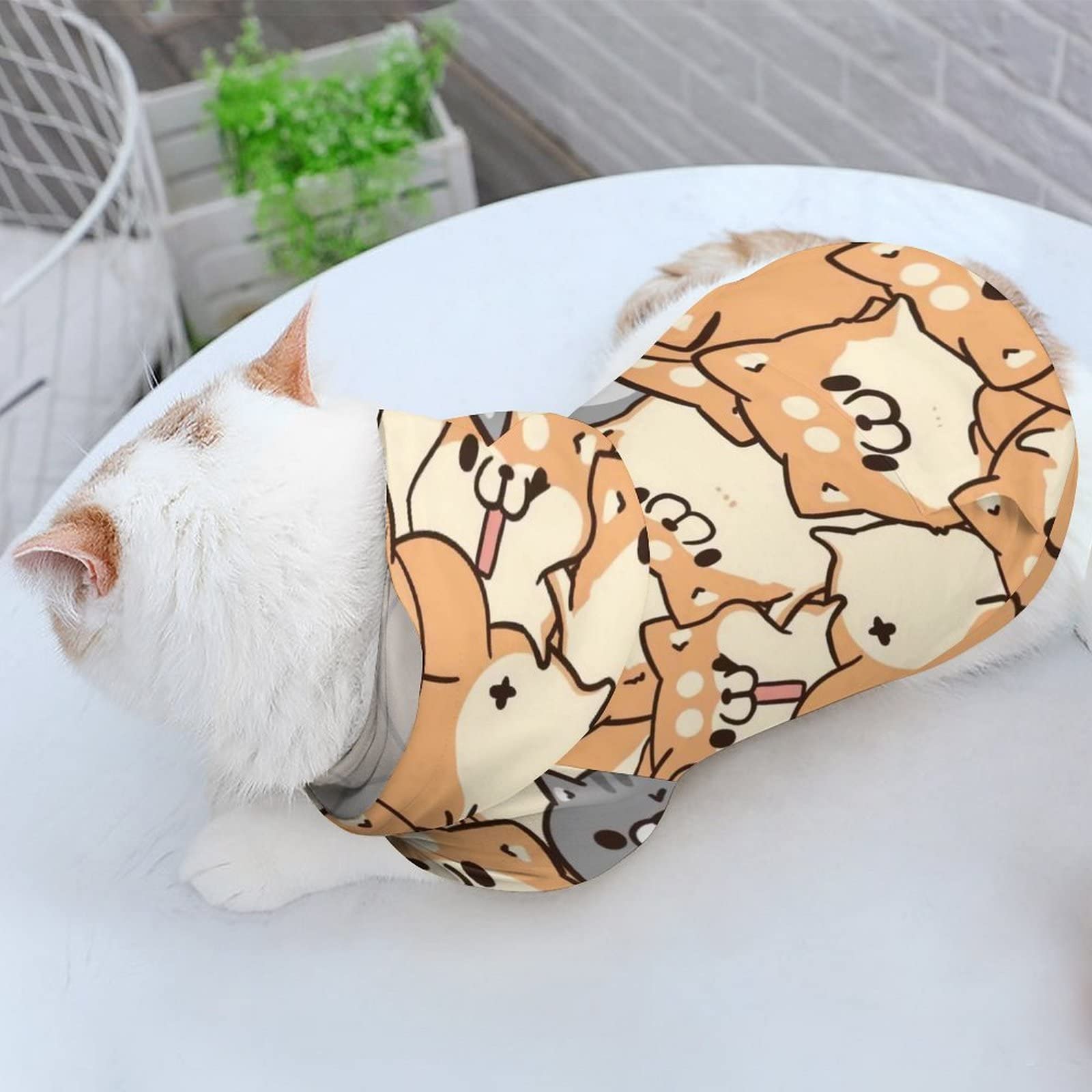 Amazon | ペット服 ボンレス 犬 と ボンレス 猫 イラスト 犬服
