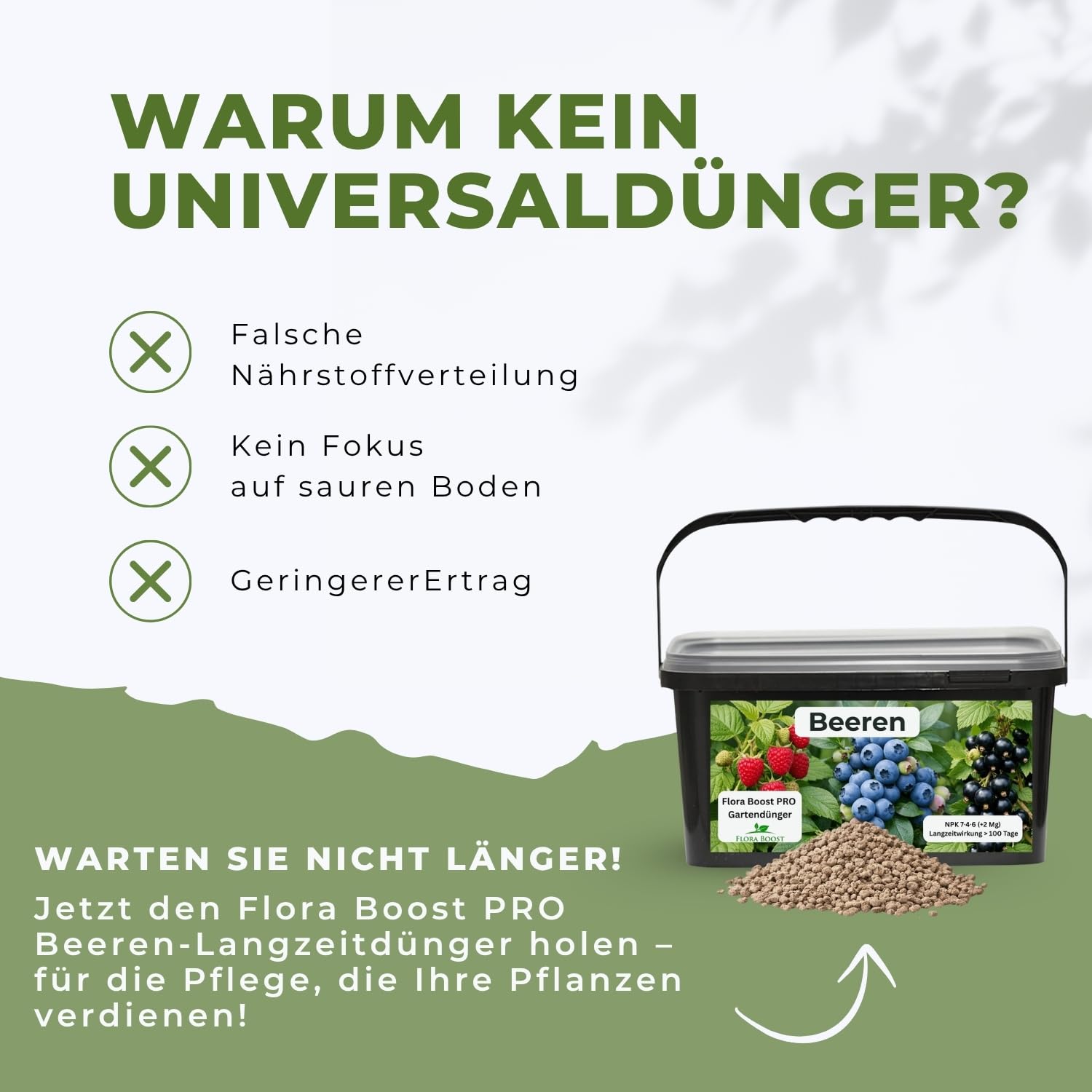 Flora Boost PRO Beeren Dünger mit Langzeitwirkung, 5KG Granulat
