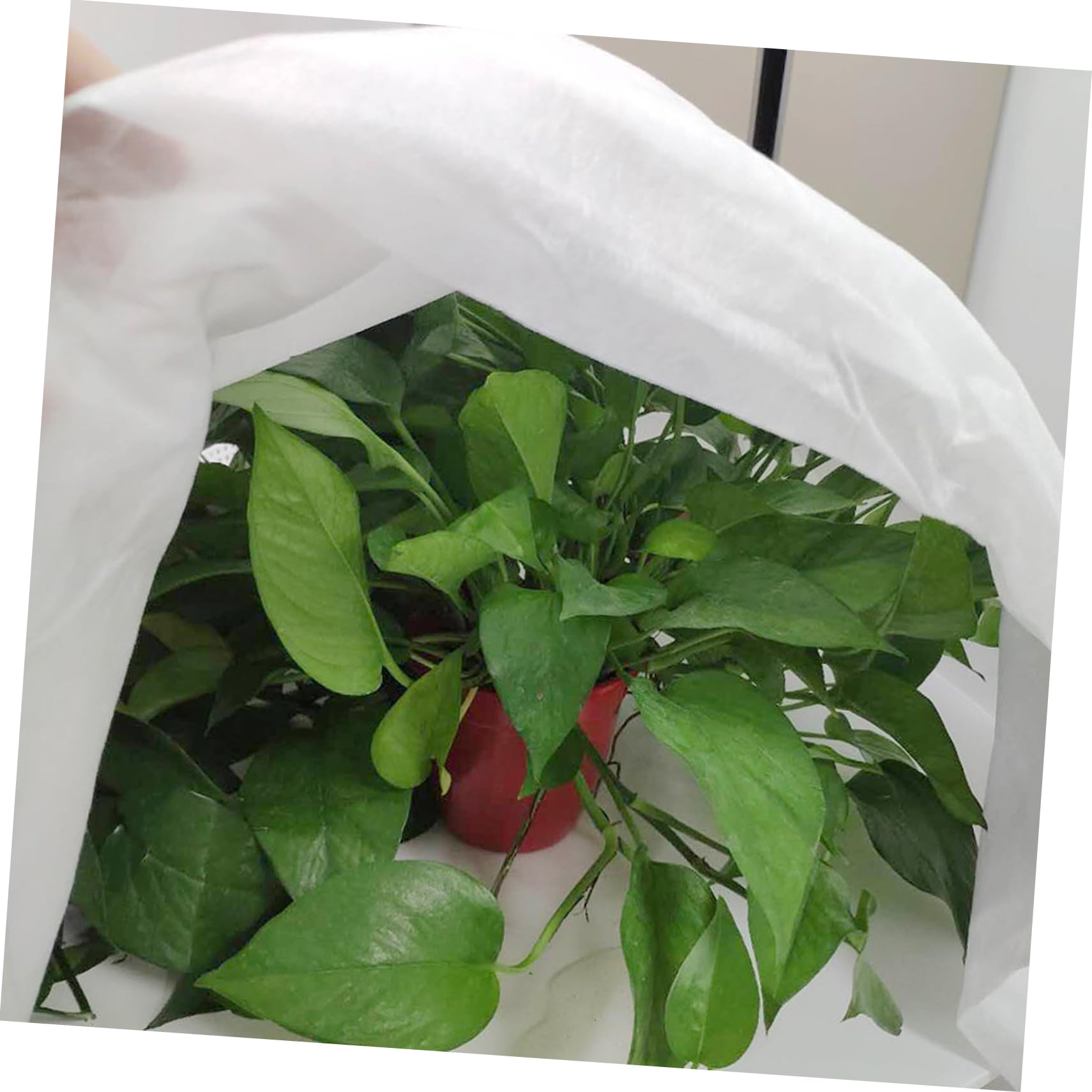 BESPORTBLE Telo Protettivo per Piante Invernali Copertura Tessuto Non Tessuto per Proteggere Arbusti e Giardino dal Freddo Accessorio per Giardinaggio