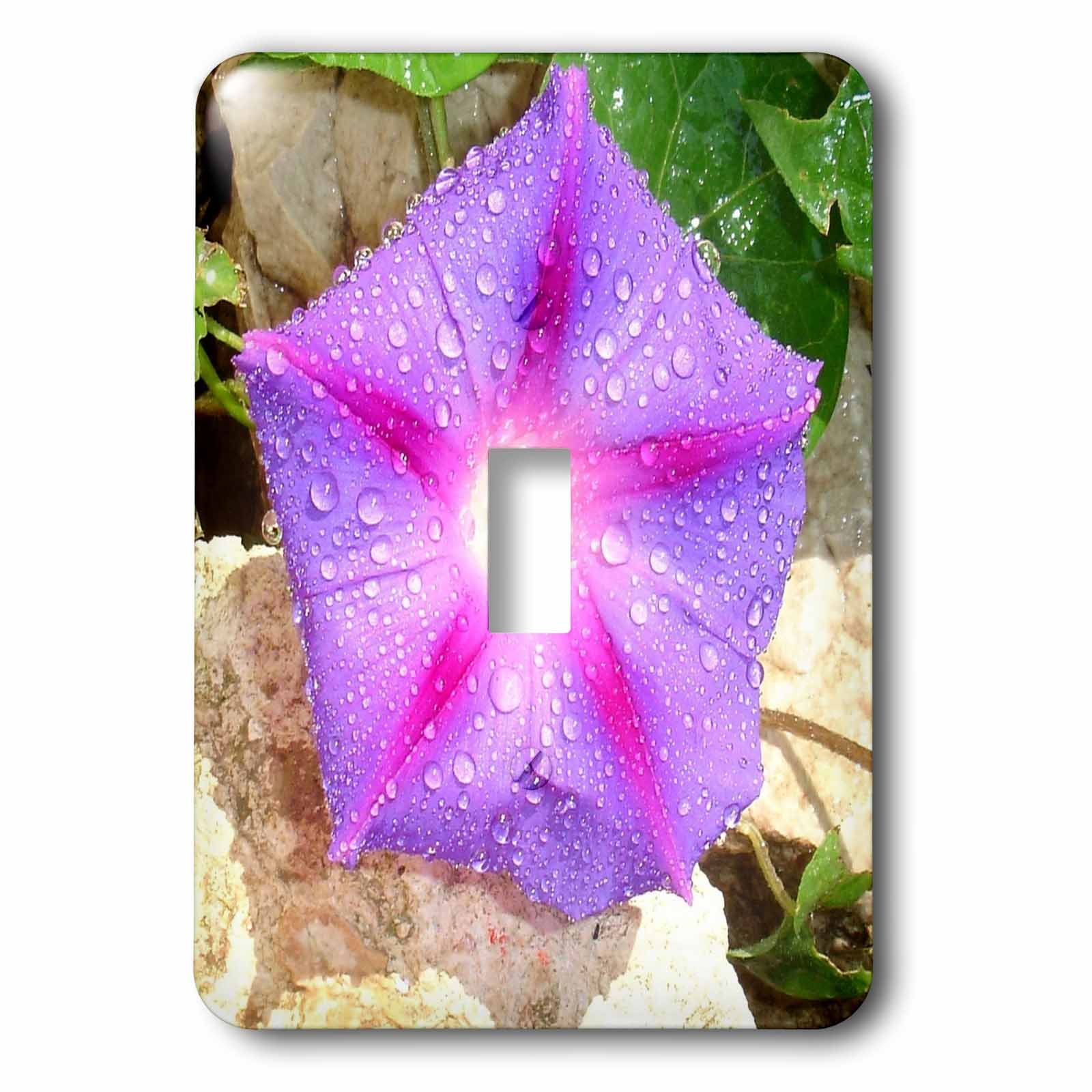 Interrupteur à baïonnette Ipomoea au design de fleur 3dRose, idéal pour sublimer votre salon