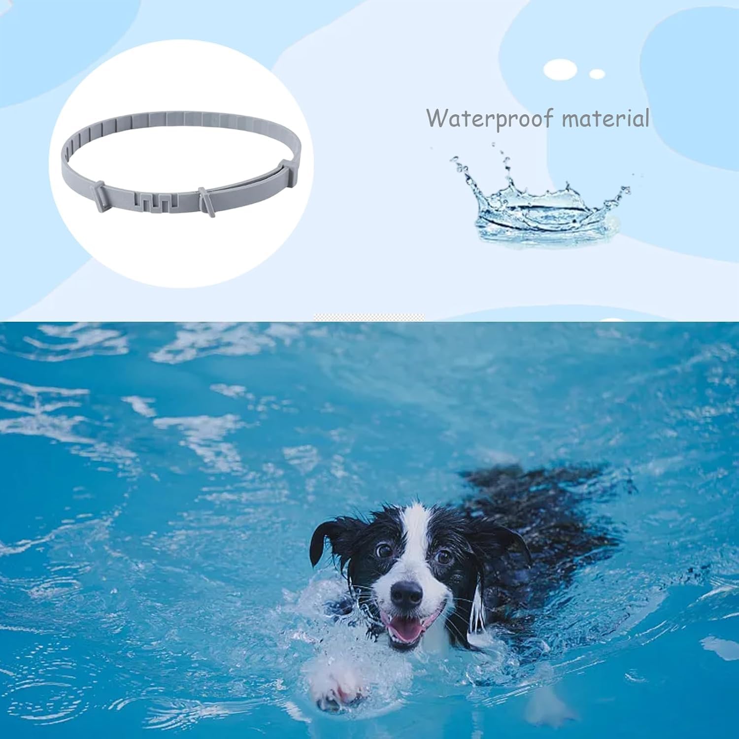 PUJI Dog Belt, Flea and Tick Prevention Collar, 6 Month Protection, Allergy-Free, Water-Resistant Design for Dogs 2