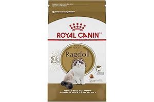 Royal Canin Persian Dry Cat Food: Tailored Nutrition for Demanding Persian Kitties