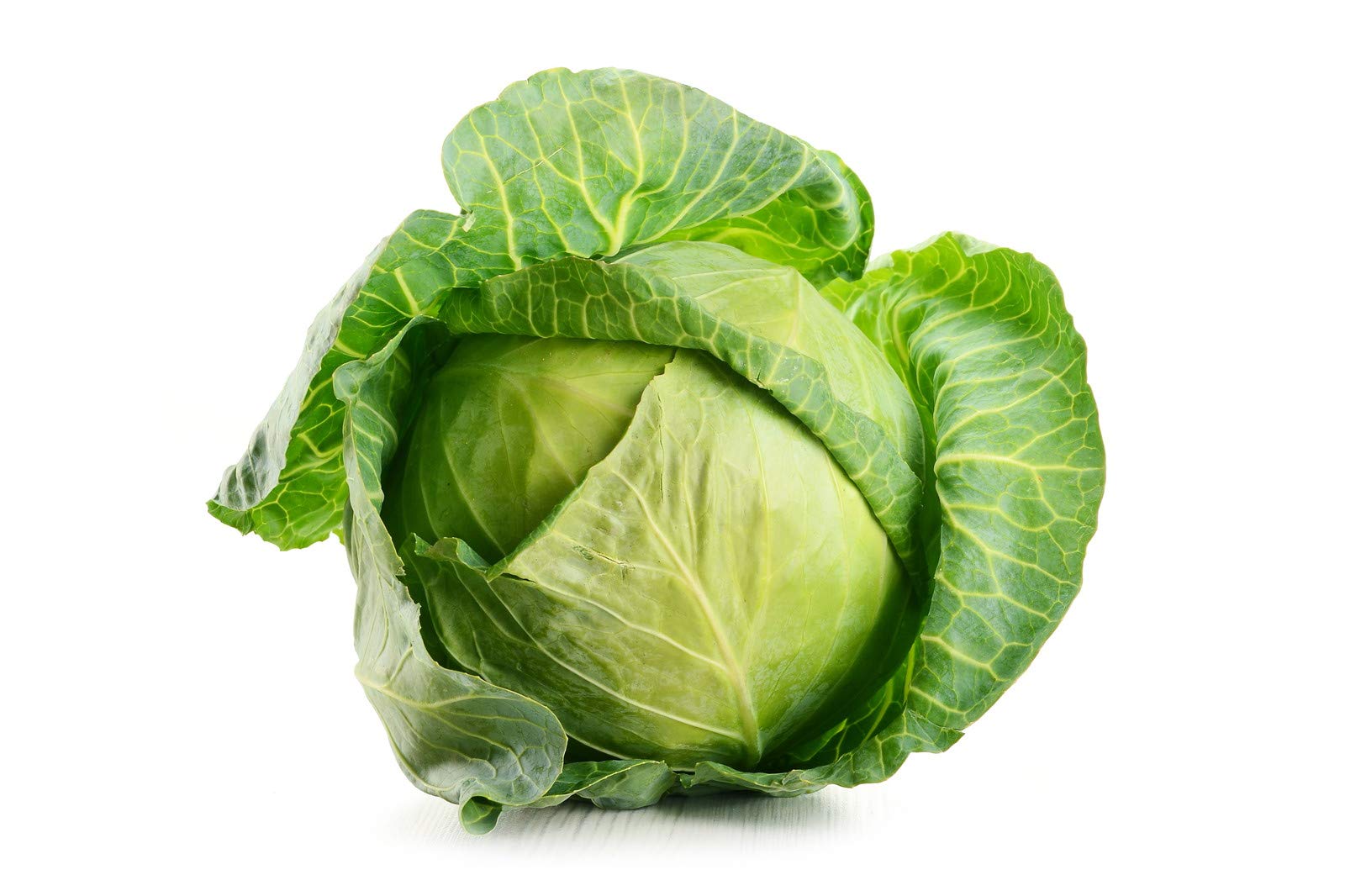 PLANTOGALLERY Cabbage Amrit Organic F1 Hybrid Seeds with Good Germination, (LG-PLFB-39) (B07SL59CG6) Amazon Price History, Amazon Price Tracker