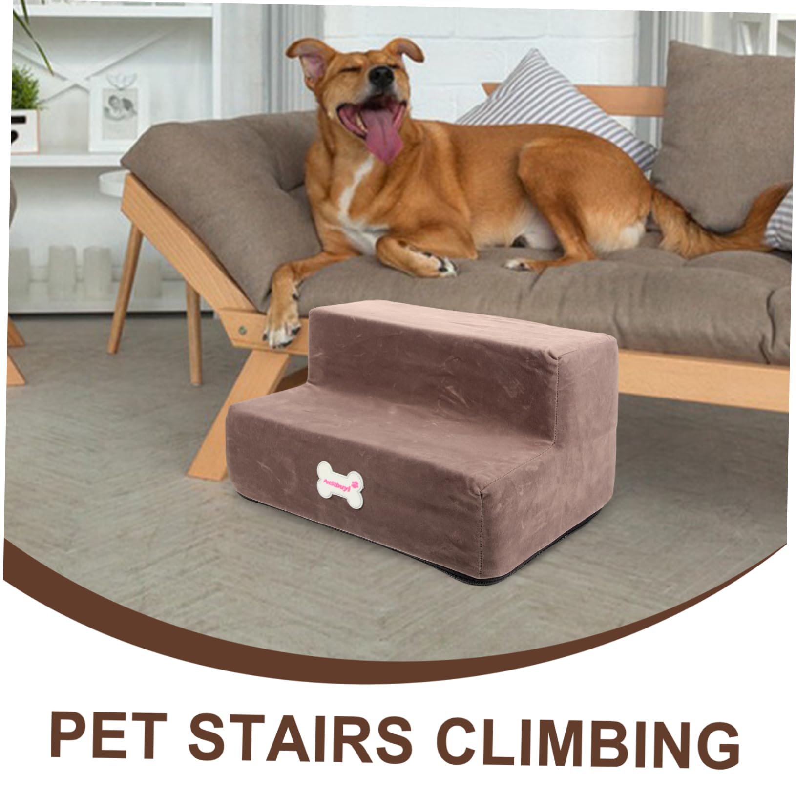 Para Perros Pequeños Como Hacer Que Un Perro No Se Suba A La Cama