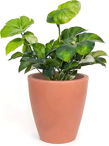 Elly Décor Maceta de 17 pulgadas para jardín con drenaje, redonda grande, ligera y extremadamente duradera, maceta de plástico para interiores y