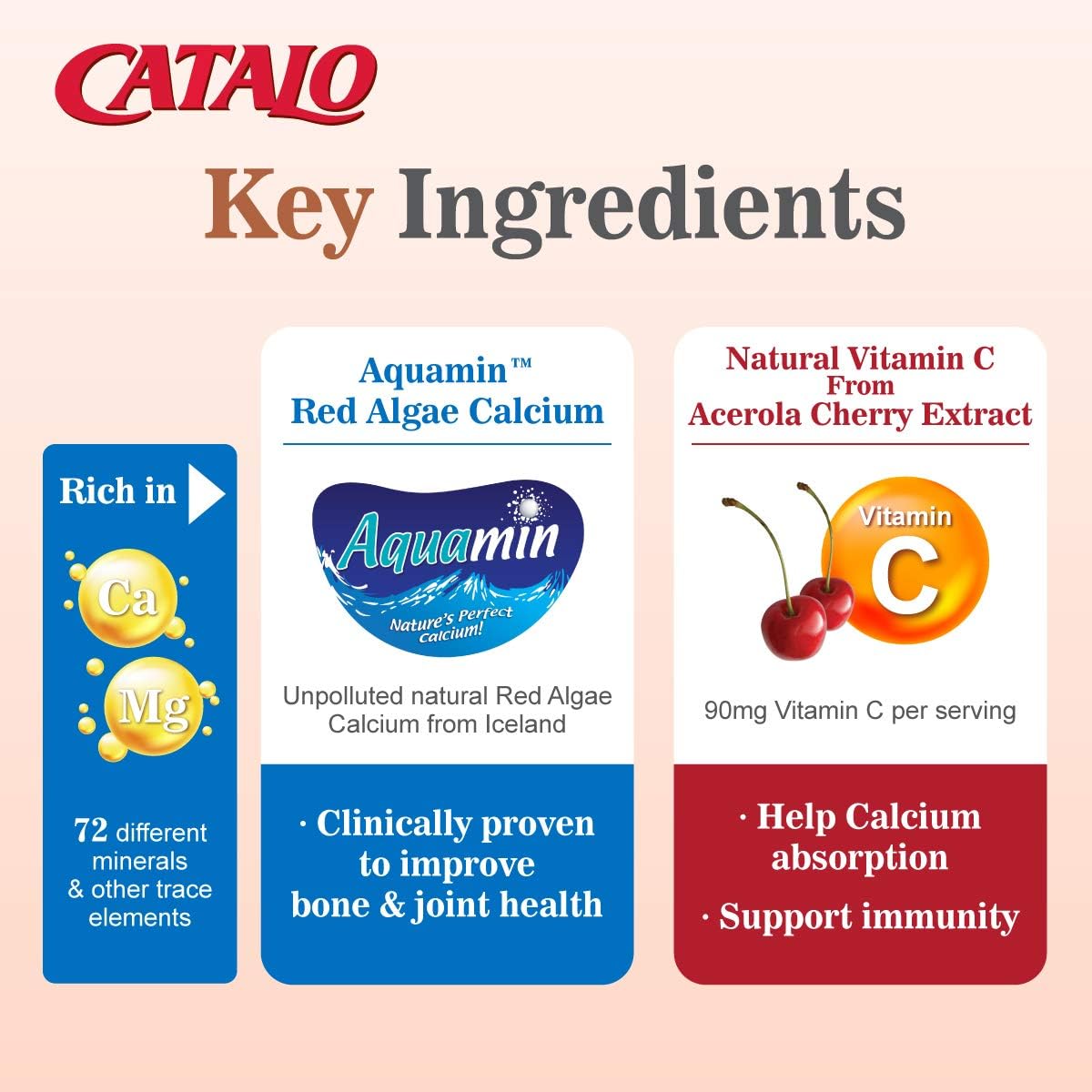 CATALO Vegetarian Calcium for Pregnancy, 90 Vegetarian Tablets