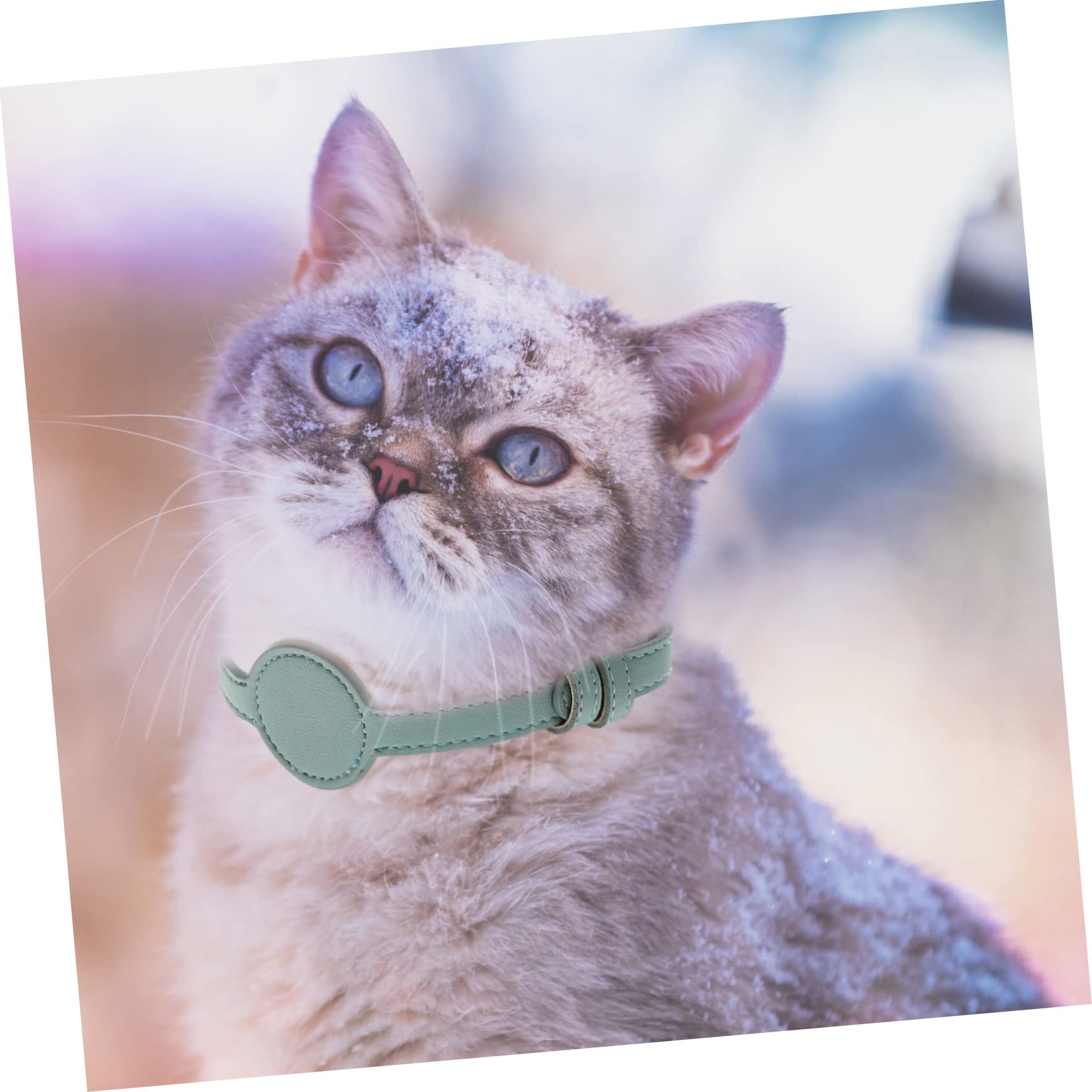 FOMIYES 5stücke Cat Tracer Collar Verstellbares Atmungsaktives Katzenhalsband Aus Pu-Material Leicht Und Bequem Für Outdoor-aktivitäten Kompatibel Mit Helligrün