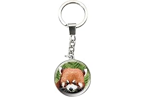 Deluxebase Magnidome Keychain from Dome Shaped Picture Key Ring with Stainless Steel...