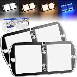 RV LED Interior Lights 12-18V 2 Pack Dimmable Ceiling Light 6W, Camper Lighting with 4 Colors for RV/Trailer/Camper/Boat, Warm White Light/Natural White/Cool White Light/Blue 4000-4500K, 700LM