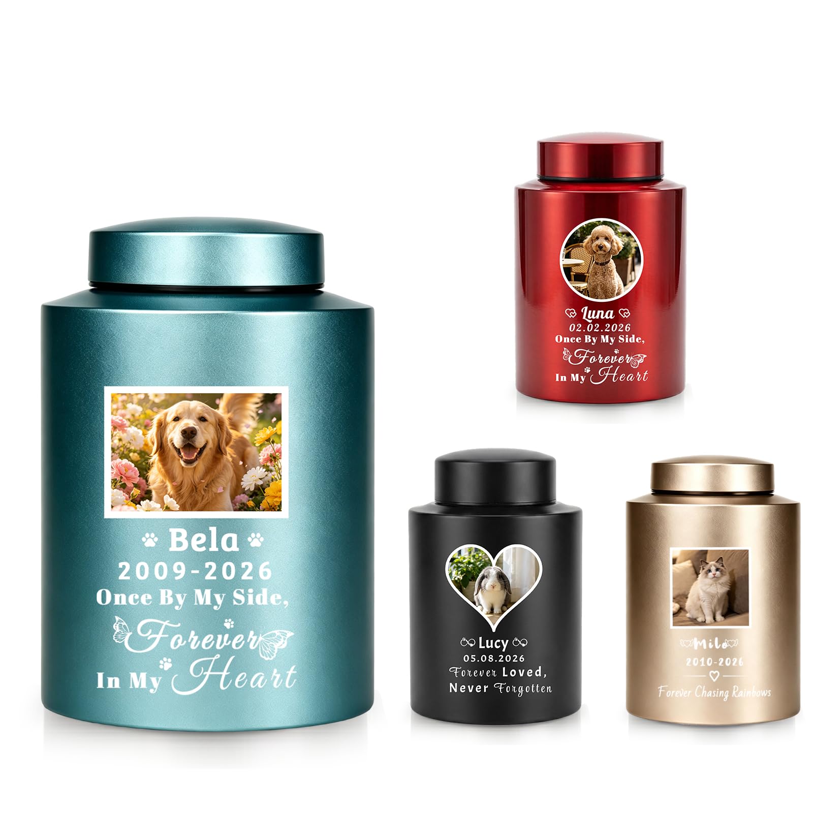 Iwe Personalised Pet Urn for Ashes, Dog Cat Ashes Memorial Box with Photo (blue)