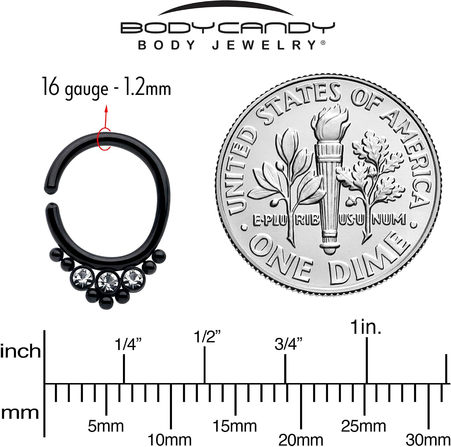 Body Candy 16G Septum Ring - Black Beaded Surgical Steel Seamless Segment Ring