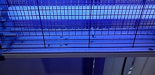 Review Image by mrsmel269