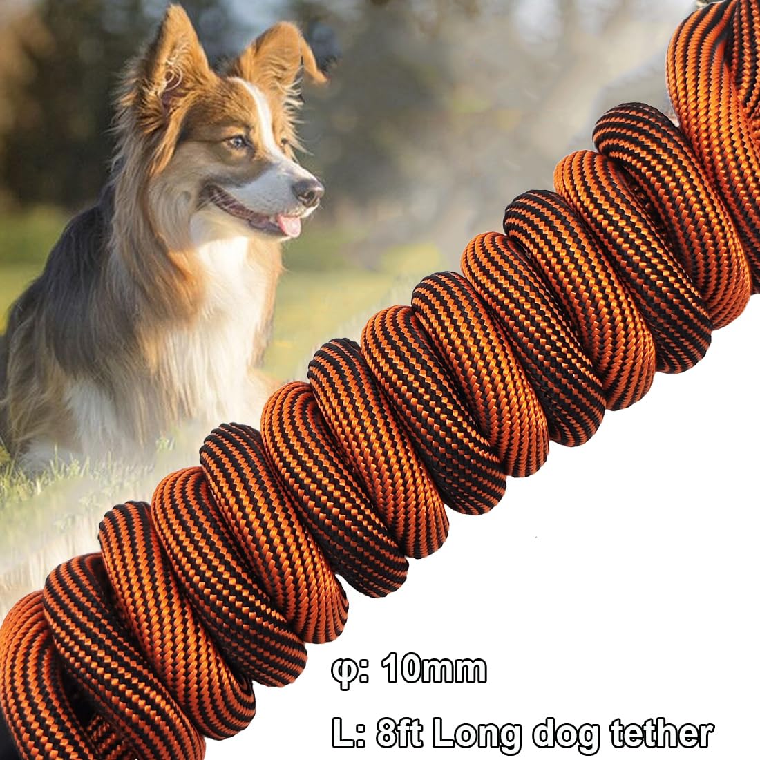 Dog Tie Out Cable Mycicy Tie Out Check Cord Long Rope Dog Leash