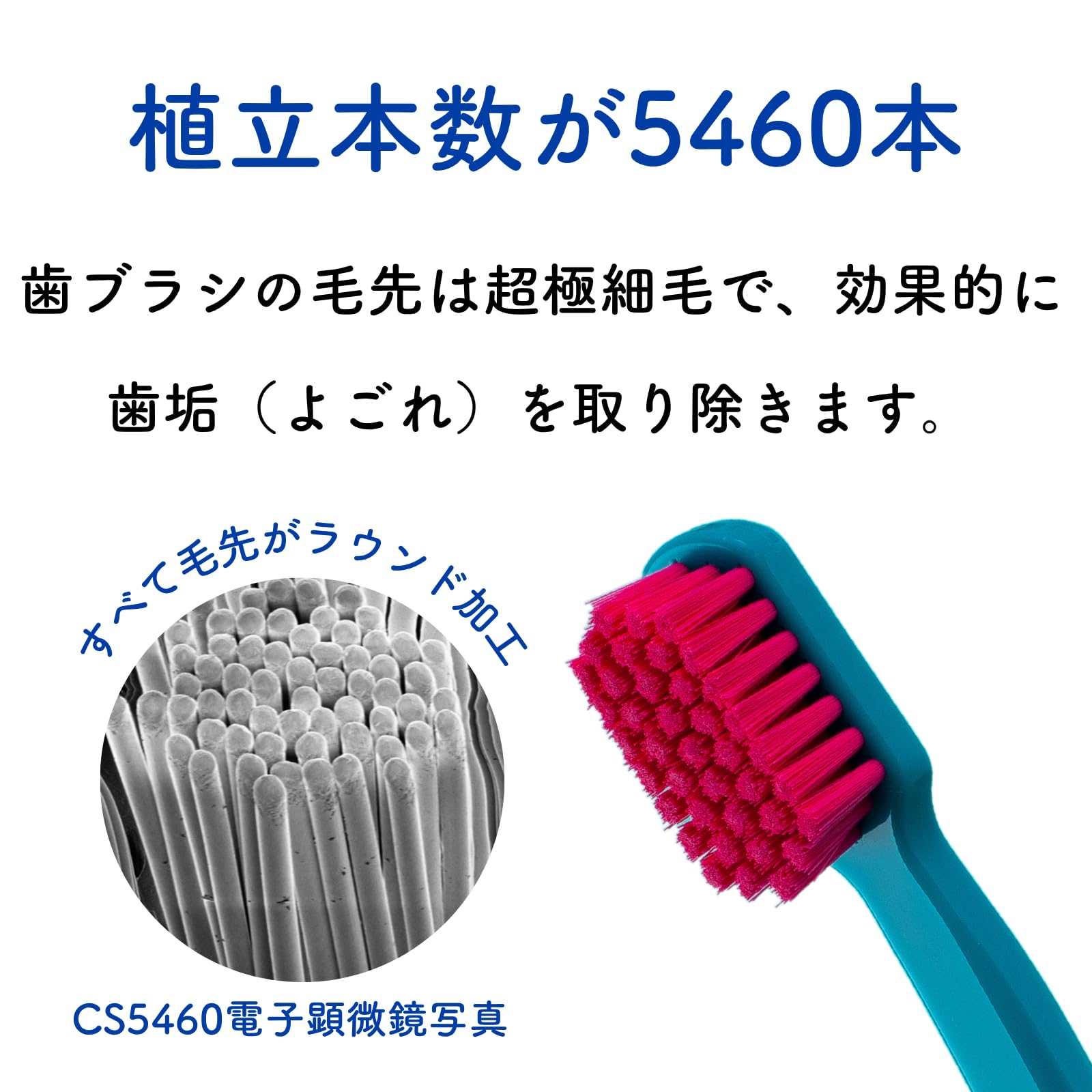 Amazon | CURAPROX クラプロックス BE YOU トラベルセット 【限定