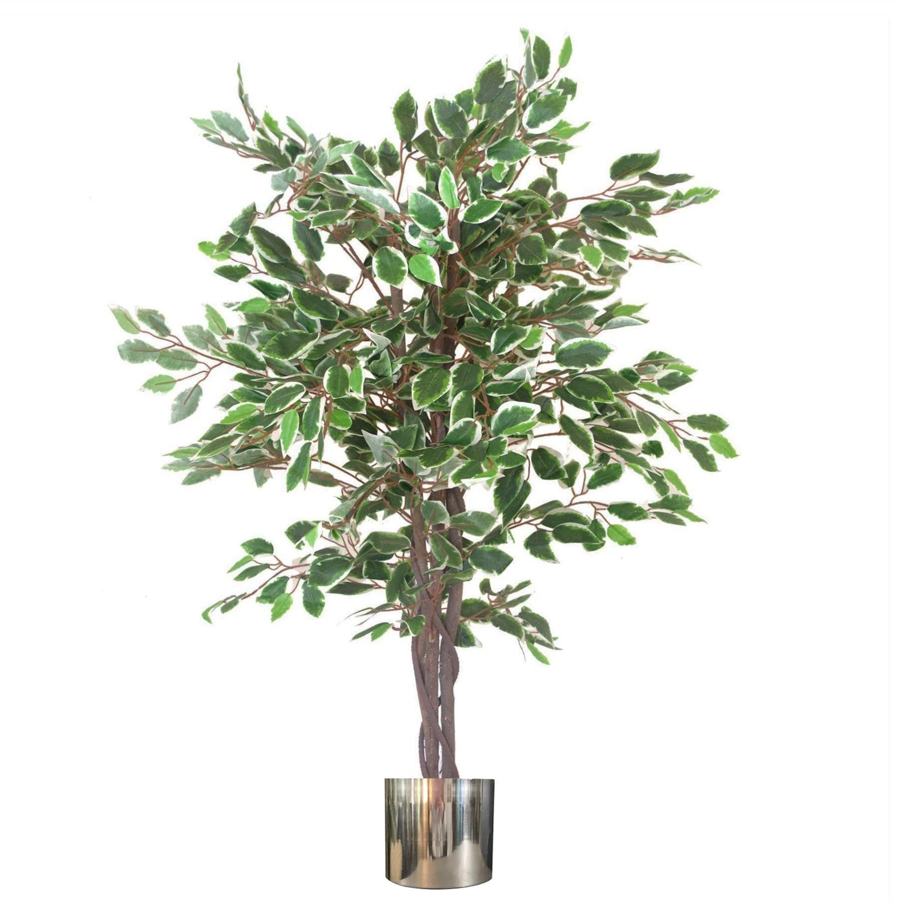 Leaf White Edge Twist Ficus Artificial Plant With Silver Metal Planter 130Cm