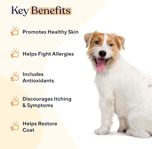 Miniatura 2 de Pawfy Piel y pelaje - Pavo y tocino